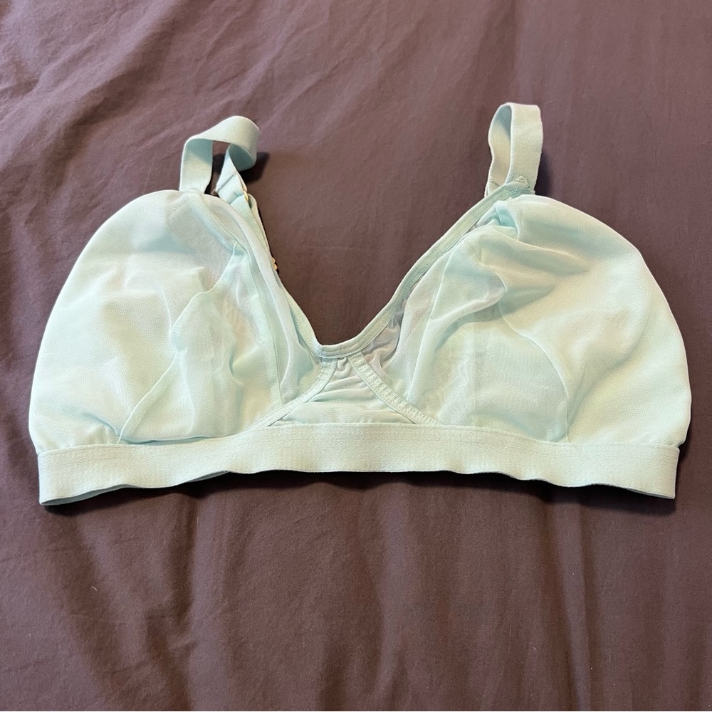 Lara Intimates Ava bra in light teal aqua UK 36FF / US 36H sheer mesh